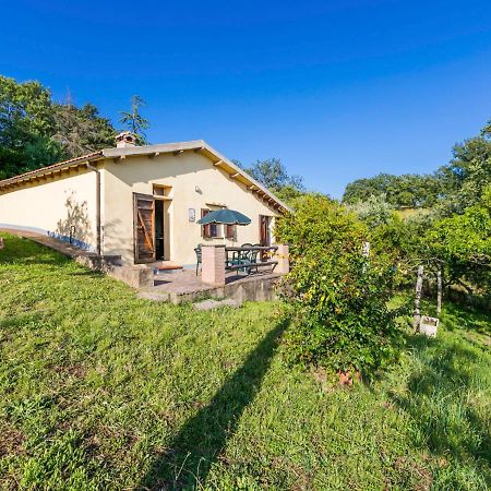 Holiday Home Grilli By Interhome Scansano Exterior foto